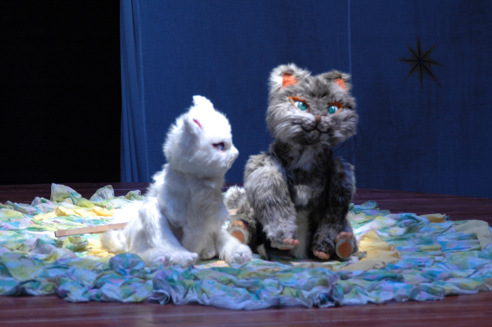 中古】ぬいぐるみ Special BOX 「100万回生きたねこ」 佐野洋子 絵本